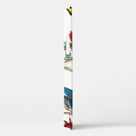 Townsend Warbler von John James Audubon Case-Mate iPhone Hülle (Rückseite / Rechts)