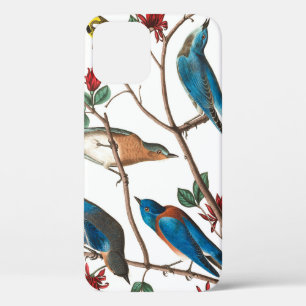 Townsend Warbler von John James Audubon Case-Mate iPhone Hülle