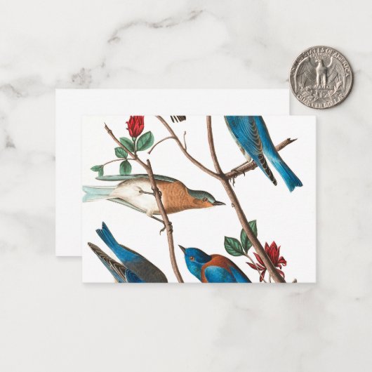 Townsend Warbler von John James Audubon Mitteilungskarte (Vorderseite/Rückseite Beispiel)