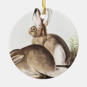 Townsend's Rocky Mountain Hare (Lepus Townsendii) Keramik Ornament