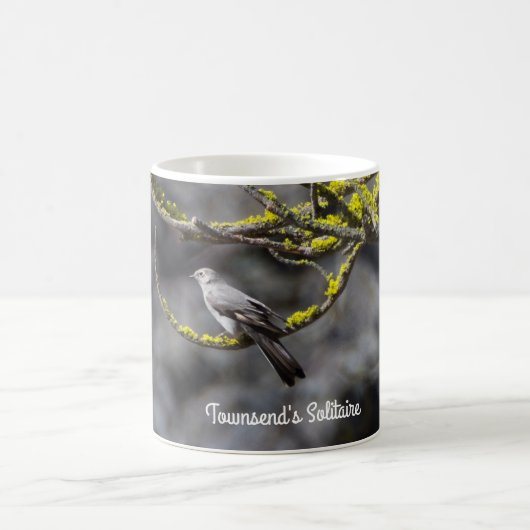 Townsend's Solitaire Kaffeetasse (Mittel)
