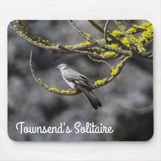 Townsend's Solitaire Mousepad (Vorne)