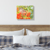 Townsend's Solitaire Songbird auf Scarlet Firethor Leinwanddruck (Insitu (Schlafzimmer))