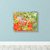 Townsend's Solitaire Songbird auf Scarlet Firethor Leinwanddruck (Insitu (Holzboden))