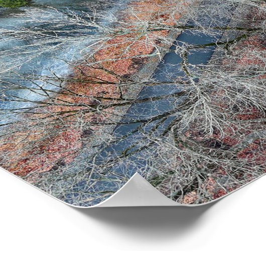 Towpath Park Schuylkill River PA Poster (Ecke)