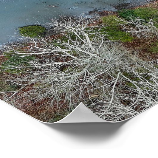 Towpath Park Schuylkill River PA Poster (Ecke)