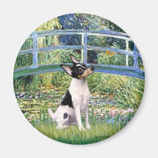Toy Fox Terrier - Bridge Magnet (Vorne)