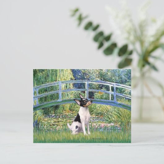 Toy Fox Terrier - Bridge Postkarte (Stehend Vorderseite)