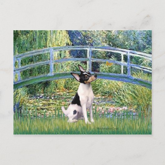 Toy Fox Terrier - Bridge Postkarte (Vorderseite)