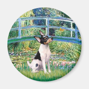 Toy Fox Terrier - Brücke Magnet