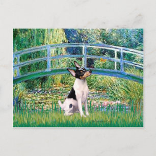Toy Fox Terrier - Brücke Postkarte