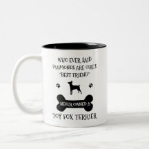 Toy Fox Terrier Dog Breed Best Friend