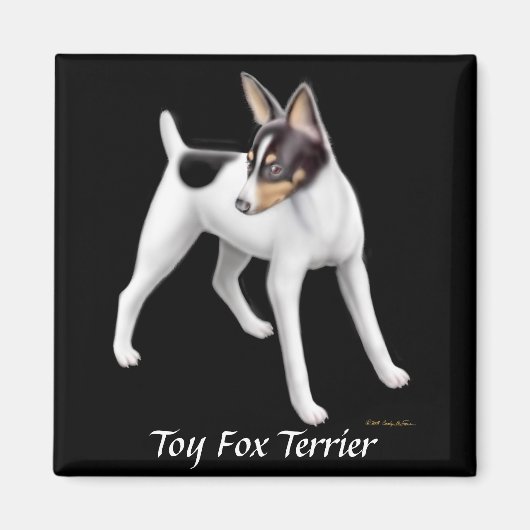 Toy Fox Terrier Magnet (Vorne)