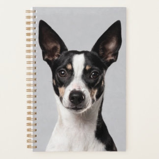 Toy Fox Terrier Planer
