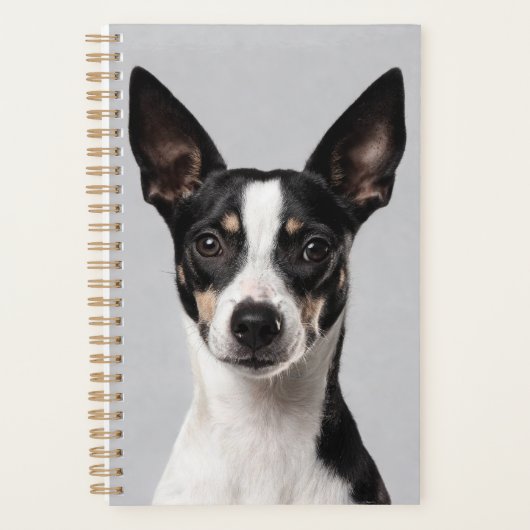 Toy Fox Terrier Planer (Vorderseite)