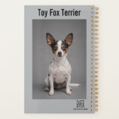 Toy Fox Terrier Planer (Rückseite)