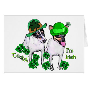 Toy Fox Terrier St Pattys