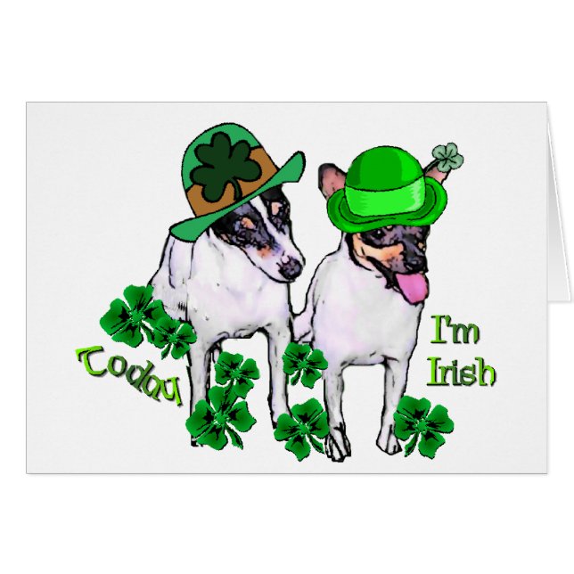 Toy Fox Terrier St Pattys (Vorderseite (Horizontal))