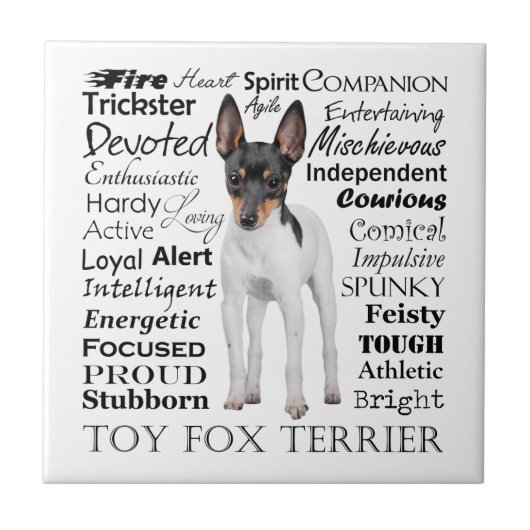 Toy Fox Terrier Tracks Tile Fliese (Vorderseite)