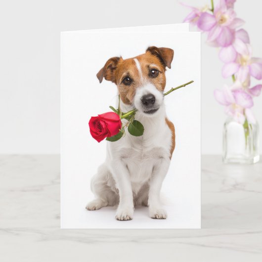 Toy Fox Terrier Valentinstag Karte (Orchidee)