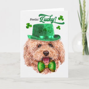 Toy Poodle Dog Feelin' Lucky St Patrick's Day Feiertagskarte