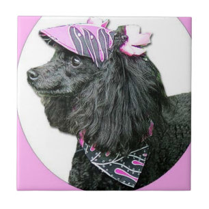 Toy Poodle Dog Fliese