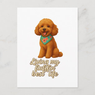 Toy Poodle � Mein Fluffin� Leben auf dem Höchststa Postkarte
