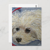 Toy Poodle Painting - Cece Postkarte (Vorne/Hinten)
