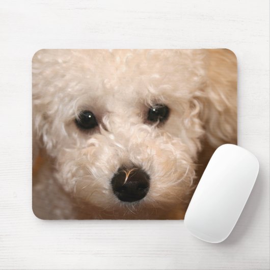 Toy Poodle Puppy Mousepad (Mit Mouse)