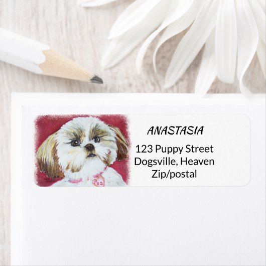 TOY SHIH TZU MIX (Insitu)