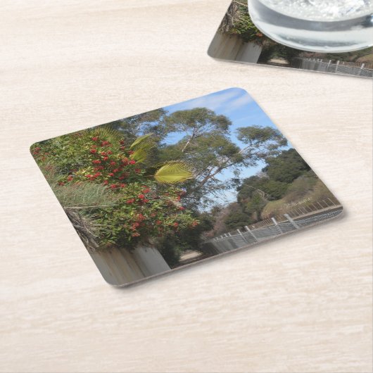 Toyons entlang des Arroyo Seco Trail Rechteckiger Pappuntersetzer (angewinkelt)