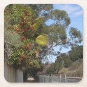 Toyons entlang des Arroyo Seco Trail Rechteckiger Pappuntersetzer (Vorderseite)