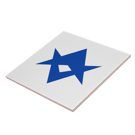 Toyota City Flag Tile Fliese (Seite)
