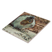 Toyottenschwein Fliese (Seite)