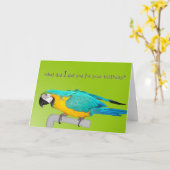 Toys for Me Karte (Gelbe Blume)