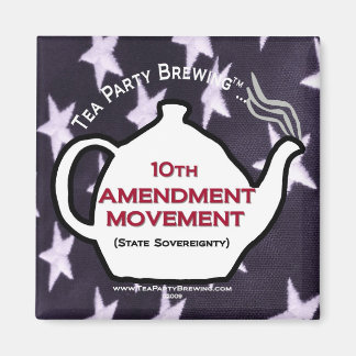 TP0109 10th Amendment Movement Magnet