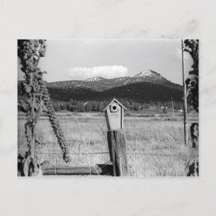 TR Bluebird House Postkarte