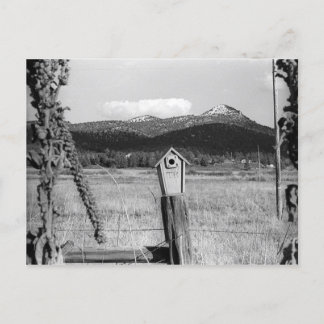 TR Bluebird House Postkarte