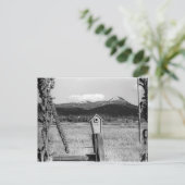 TR Bluebird House Postkarte (Stehend Vorderseite)