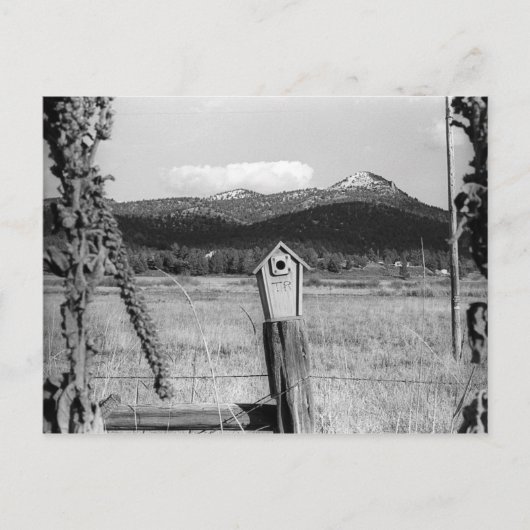 TR Bluebird House Postkarte (Vorderseite)