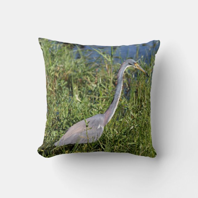 Tr-Colored Heron Kissen (Vorderseite)