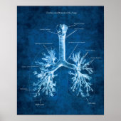 Trachea und Bronchi der Lungenanatomie Art Deco Poster (Vorne)
