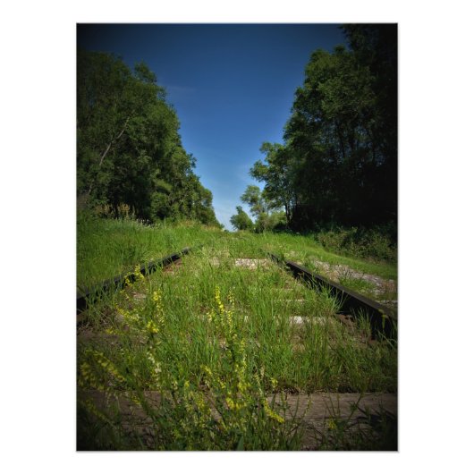 "Track and Field" Fotodruck (Vorne)