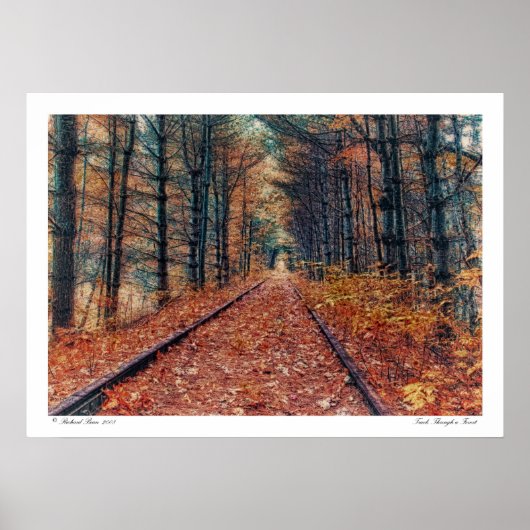 Track durch ein Waldposter Poster (Vorne)