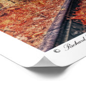 Track durch ein Waldposter Poster (Ecke)