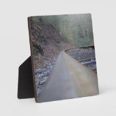 Track Fotoplatte (Vorderseite)