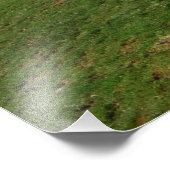 Tracker Fotodruck (Ecke)