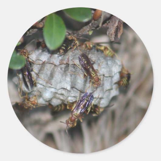 Tracker Jackers #2 Runder Aufkleber (Vorderseite)