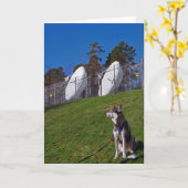 Tracker Karte (Gelbe Blume)