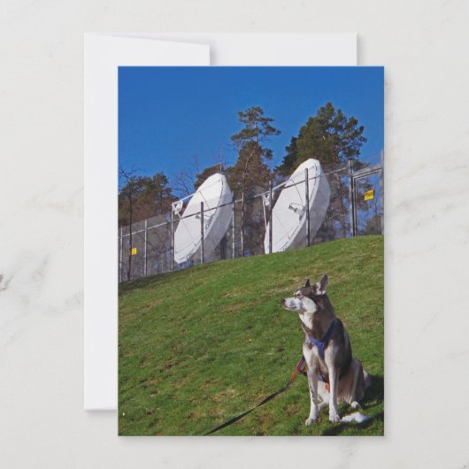 Tracker Karte (Vorderseite)